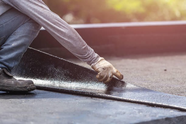 Professional Interior Drainage System technician working in Lyndhurst, VA